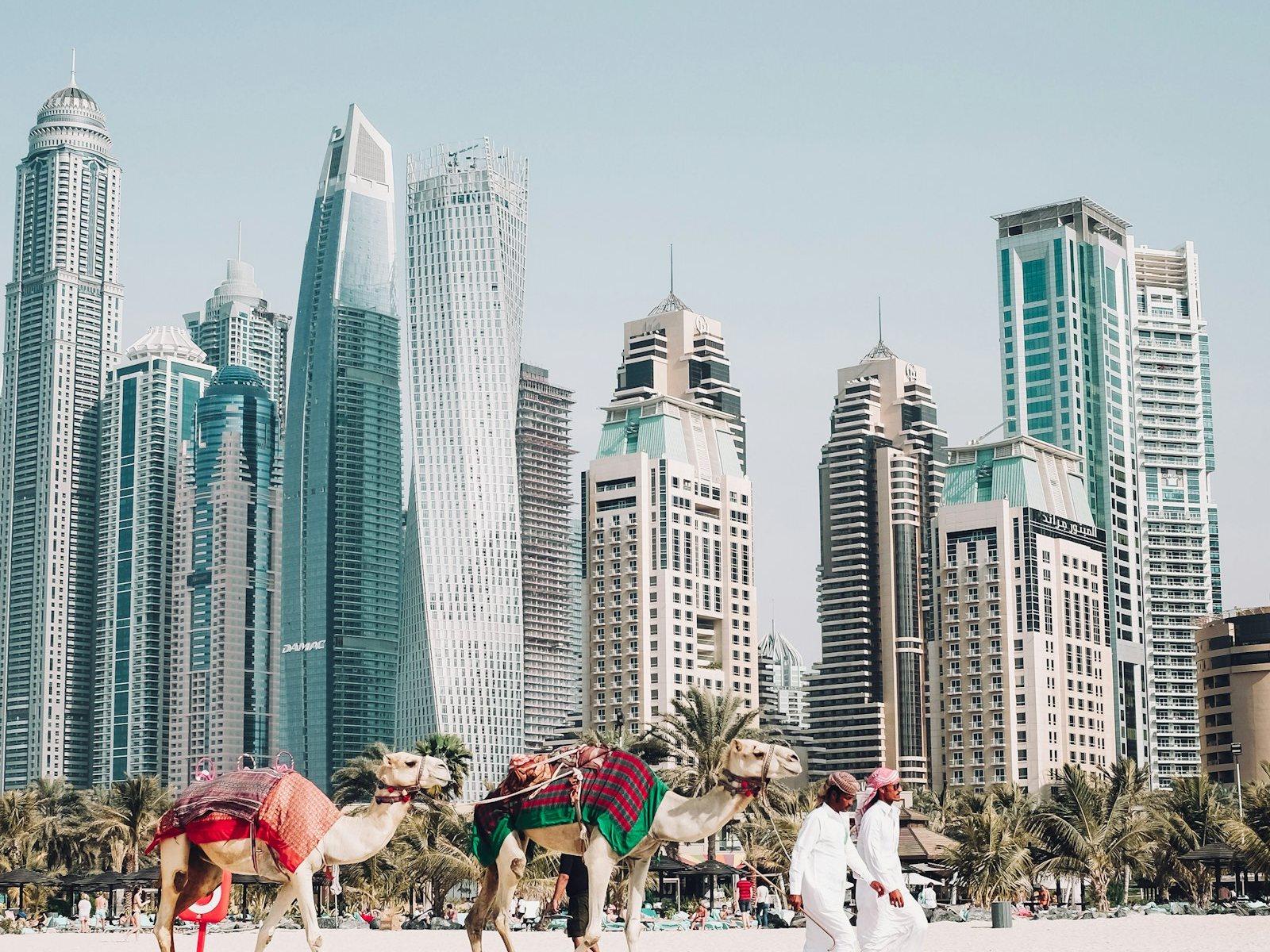 The Jumeirah Beach Residence tower wall rising behind a line of palms, with a camel train and its handler crossing the white sand in the foreground.
